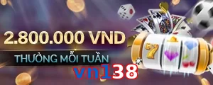 vn138